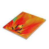 Carreau Tulipe orange (Côté)