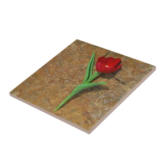 Carreau Tulipe rouge et jaune (Côté)