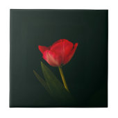 Carreau Tulipe rouge simple (Devant)