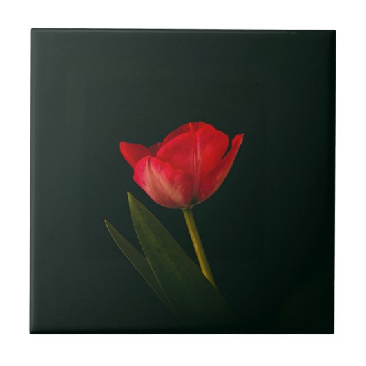 Carreau Tulipe rouge simple (Devant)