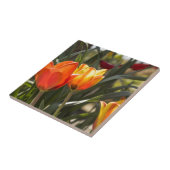 Carreau Tulipes (Côté)