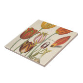 Carreau Tulipes (Côté)