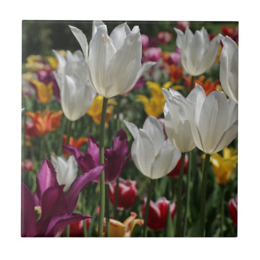 Carreau Tulipes (Devant)