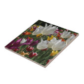 Carreau Tulipes (Côté)