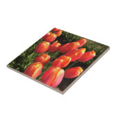 Carreau Tulipes de Dordogne, Oregon (Côté)