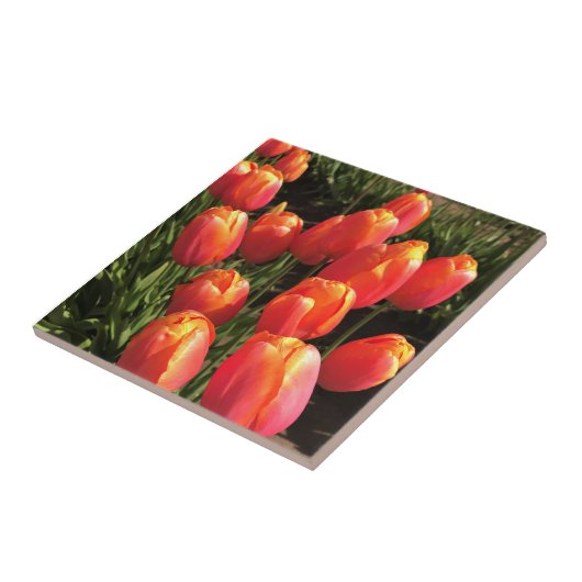 Carreau Tulipes de Dordogne, Oregon (Côté)