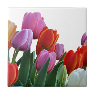 Carreau Tulipes de ressort