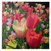 Carreau Tulipes de ressort (Devant)