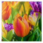 Carreau Tulipes Enchantant (Devant)