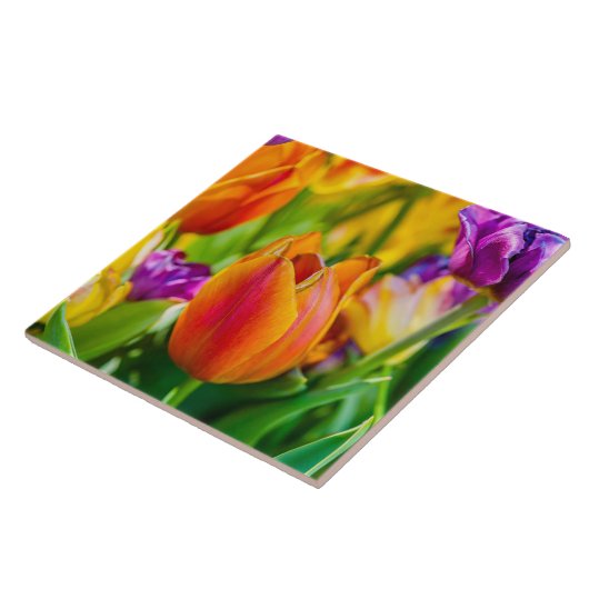 Carreau Tulipes Enchantant (Côté)