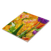 Carreau Tulipes Enchanter 01 (Côté)