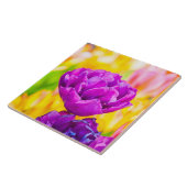 Carreau Tulipes Enchanter 15 (Côté)