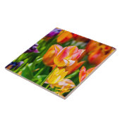 Carreau Tulipes Enchanter 17 (Côté)
