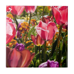 Carreau Tulipes florales tulipes céramique