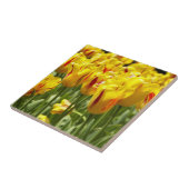 Carreau Tulipes Jaunes aux rayures rouges Florales (Côté)