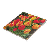 Carreau Tulipes jaunes et rouges (Côté)