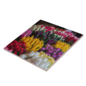 Carreau Tulipes multicolores (Côté)