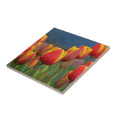 Carreau Tulipes pour maman (Côté)
