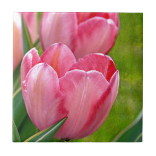 Carreau Tulipes roses