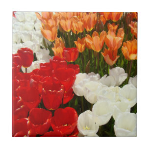 Carreau Tulipes Rouge Orange Tulipes Fleurs cadeaux