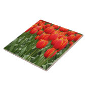 Carreau Tulipes rouges (Côté)
