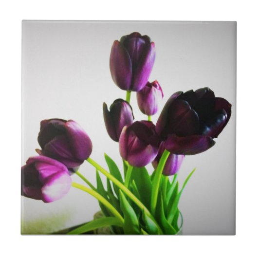 Carreau Tulips de Dark (Devant)