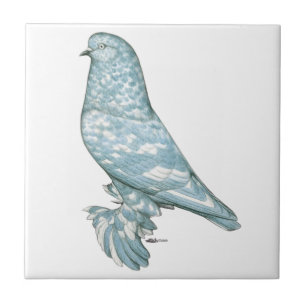 Carreau Tumbler Ouest de l'Angleterre : Lavender Mottle