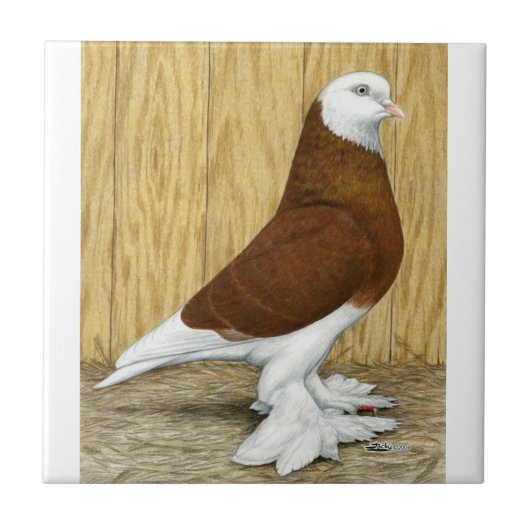 Carreau Tumbler Red Baldhead, Ouest de l'Angleterre (Devant)