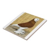 Carreau Tumbler Red Baldhead, Ouest de l'Angleterre (Côté)