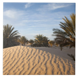 Carreau Tunisie, désert du Sahara, Douz, Grande Dune, palm
