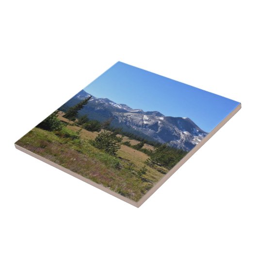 Carreau Tuolumne Meadows (Côté)