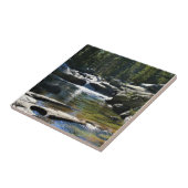 Carreau Tuolumne River à Tuolumne Meadows, Yosemite, CA (Côté)