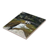 Carreau Tuolumne River à Tuolumne Meadows, Yosemite, CA (Côté)