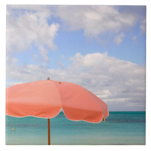 Carreau Turks and Caicos, île de Providenciales, Grace