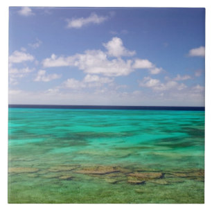 Carreau Turks et Caïcos, Grand Turk Island, Cockburn 3