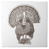 Carreau Turquie (Devant)