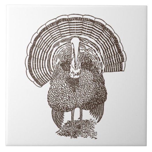 Carreau Turquie (Devant)