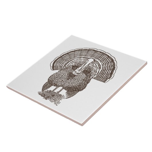 Carreau Turquie (Côté)