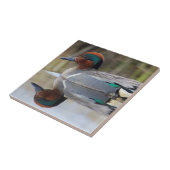 Carreau Turquoise à ailes vertes (Côté)