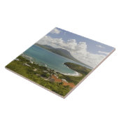 Carreau Turtle Beach, péninsule sud-est, St-Kitts, (Côté)