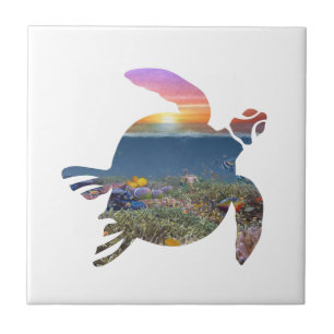 Carreau Turtle Reef