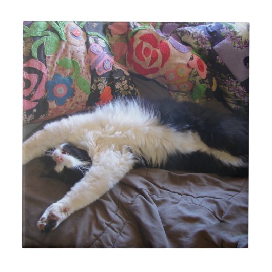 Carreau Tuxedo Chat Funny Mexicaine Vague Cute Anniversair (Devant)