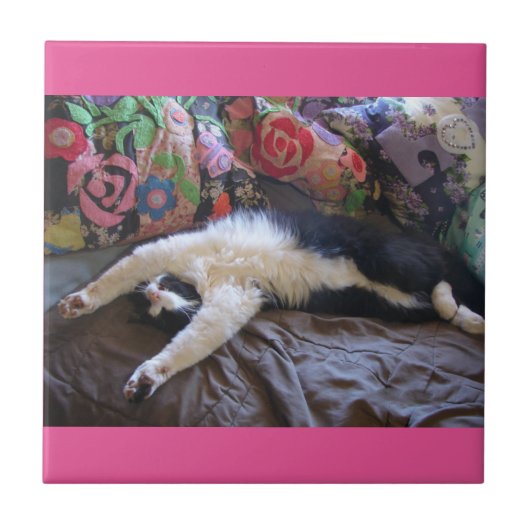 Carreau Tuxedo Chat Funny Mexicaine Vague mignonne Anniver (Devant)