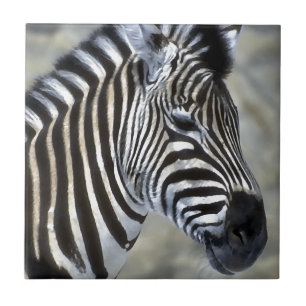 Carreau Type de Zebras Lovers