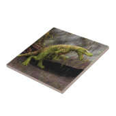 Carreau Tyrannosaurus Rex (Côté)