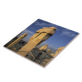 Carreau UE, Espagne, Catalogne, Barcelone. Antonio Gaudi's (Côté)