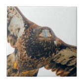 Carreau Un aigle à tête blanche étonnant fait un survol (Devant)