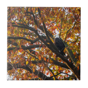 Carreau Un aigle en automne