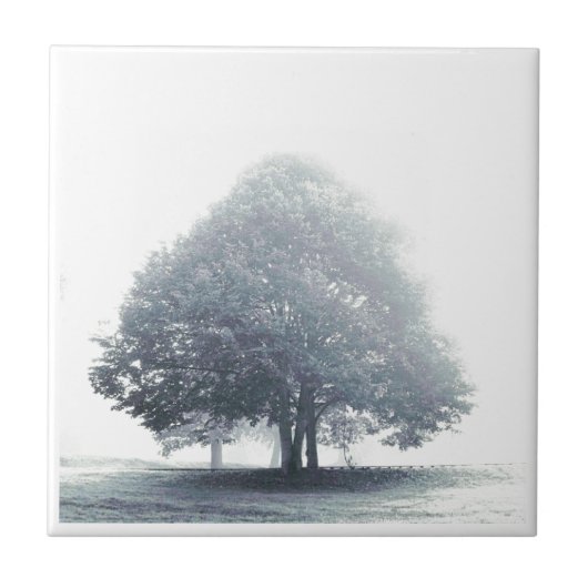 Carreau Un arbre dans le brouillard (Devant)