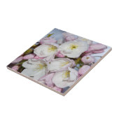 Carreau Un arbre d'Apple fleurit sur un ciel bleu (Côté)